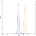 SDS-PAGE for Anti-Human MSLN/Mesothelin Antibody (SS1)