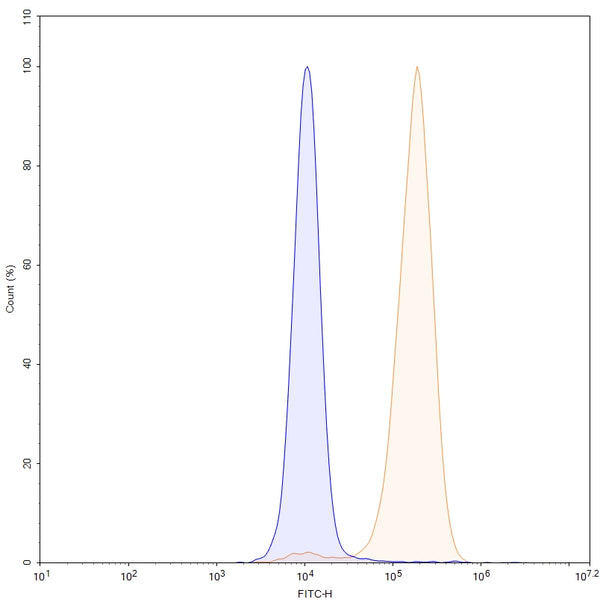 SDS-PAGE for Anti-Human MSLN/Mesothelin Antibody (SS1)