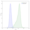 Flow-cytometry using anti-human IL18 antibody.HaCaT cells were stained with an irrelevant antibody (Blue Histogram) or an anti-human IL18 antibody monoclonal antibody (Catalog # HC517010 ,Green Histogram) at a concentration of 5 µg/ml for 30 mins at RT. After washing, bound antibody was detected using a FITC conjugated goat anti-human antibody (Catalog # HF690414) and cells analysed on a NovoCyte Flow Cytometer.