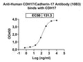 Detects Recombinant Human CDH17 Protein, N-His (Cat No.: HC546012) in indirect ELISA.