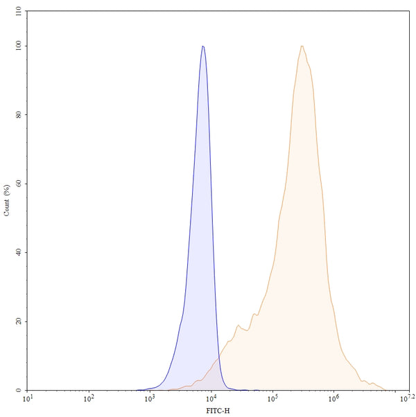 Flow-cytometry using anti-human CDH17 antibody. Untransfected cells (blue Histogram) and Transfected cells (Yellow Histogram) were stained with an anti-human CDH17 monoclonal antibody (Catalog: HC546107) at a concentration of 5 µg/ml for 30 mins at RT. After washing, bound antibody was detected using a Goat Anti-Mouse IgG H&L Polyclonal Antibody, FITC (abinScience: MF690414) and cells analysed on a NovoCyte Flow Cytometer.