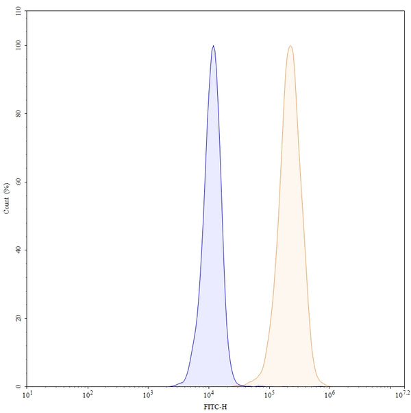 Flow-cytometry using FITC anti-human EGFR antibody. A431 cells were stained with an irrelevant antibody (Blue Histogram) or an FITC anti-human EGFR monoclonal antibody (Catalog: HF004217, Yellow Histogram) at a concentration of 5 µg/ml for 30 mins at RT. After washing, and cells analysed on a NovoCyte Flow Cytometer.