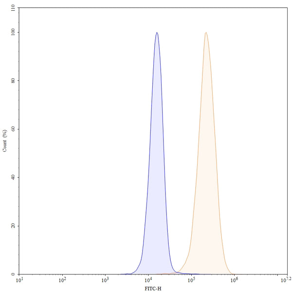 Flow-cytometry using FITC anti-human EGFR antibody. A431 cells were stained with an irrelevant antibody (Blue Histogram) or an FITC anti-human EGFR monoclonal antibody (Catalog: HF004317, Yellow Histogram) at a concentration of 5 µg/ml for 30 mins at RT. After washing, and cells analysed on a NovoCyte Flow Cytometer.