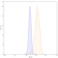 Flow-cytometry using FITC anti-human IL1A antibody. 5637 cells were fixed and permeabilized, then stained with an irrelevant antibody (Blue Histogram) or an FITC anti-human IL1A monoclonal antibody (Catalog HF802117, Yellow Histogram) at a concentration of 5 µg/ml for 30 mins at RT. After washing, cells analysed on a NovoCyte Flow Cytometer.