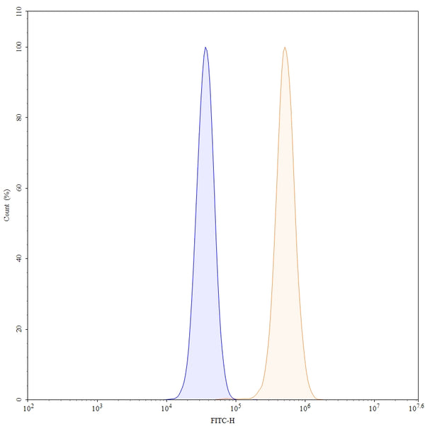 Flow-cytometry using PE anti-human PDGFB antibody. MCF-7 cells were fixed and permeabilized, then stained with an irrelevant antibody (Blue Histogram) or an PE anti-human PDGFB monoclonal antibody (Catalog: HF877117, Yellow Histogram) at a concentration of 5 µg/ml for 30 mins at RT. After washing, cells analysed on a NovoCyte Flow Cytometer.