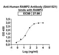 SDS-PAGE for Anti-Human RAMP2 Antibody (SAA1521).