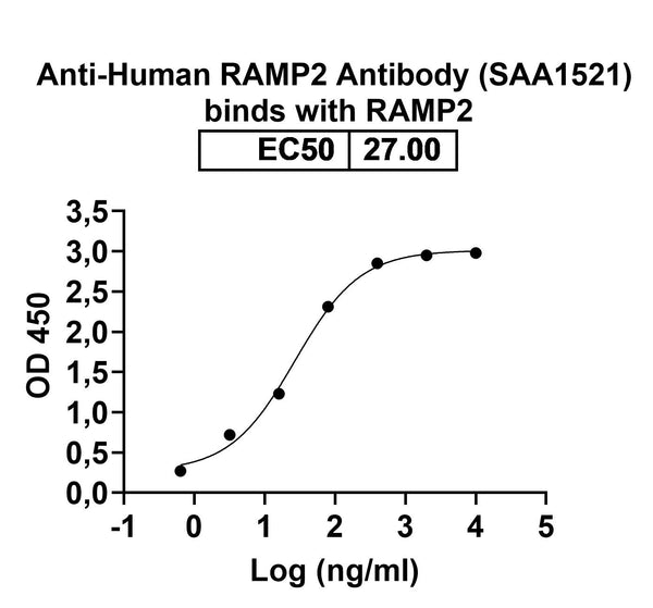 SDS-PAGE for Anti-Human RAMP2 Antibody (SAA1521).