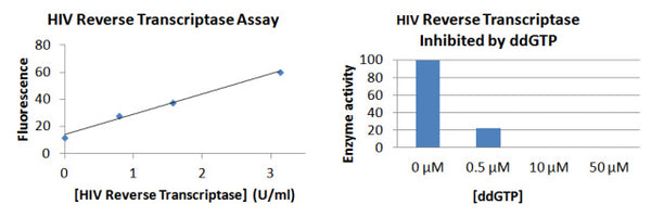HIV Reverse Transcriptase Assay Kit – Figure 1 of 1