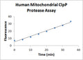 Human Mitochondrial ClpP Protease Assay Kit – Figure 1 of 1