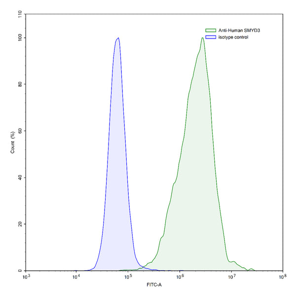Flow-cytometry using anti-human SMYD3 antibody.HeLa cells were stained with an irrelevant antibody (Blue Histogram) or an anti-human SMYD3 antibody monoclonal antibody (Catalog # HP320013 ,Green Histogram) at a concentration of 5 µg/ml for 30 mins at RT. After washing, bound antibody was detected using a FITC conjugated goat anti-mouse antibody (Catalog # MF690414) and cells analysed on a NovoCyte Flow Cytometer.