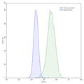 Flow-cytometry using anti-human TIGIT antibody.TIGIT Transfected CHO cells were stained with an irrelevant antibody (Blue Histogram) or an anti-human TIGIT antibody monoclonal antibody (Catalog # HS739107 ,Green Histogram) at a concentration of 5 µg/ml for 30 mins at RT. After washing, bound antibody was detected using a FITC conjugated goat anti-human antibody (Catalog # HF690414) and cells analysed on a NovoCyte Flow Cytometer.