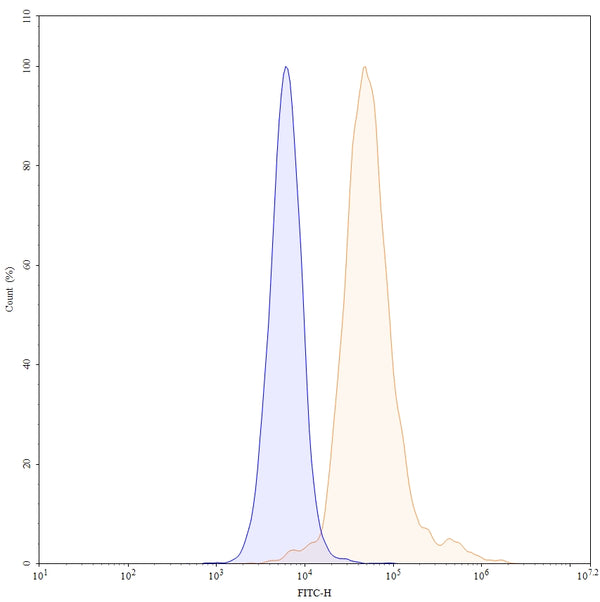 Flow-cytometry FITC using anti-human TIGIT antibody. Untransfected cells (blue Histogram) and Transfected cells (Yellow Histogram) were stained with an FITC anti-human TIGIT monoclonal antibody (Catalog HS739317) at a concentration of 5 µg/ml for 30 mins at RT. After washing, cells analysed on a NovoCyte Flow Cytometer.