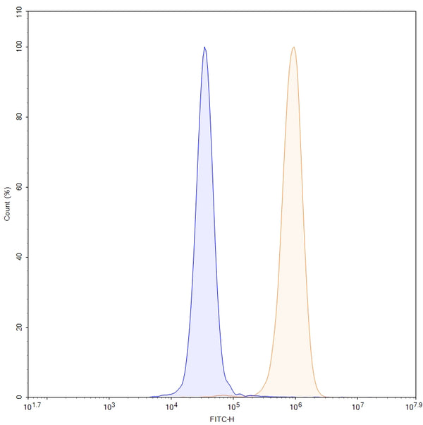 SDS-PAGE for Anti-Human IGFBP7 Antibody (SAA1683)