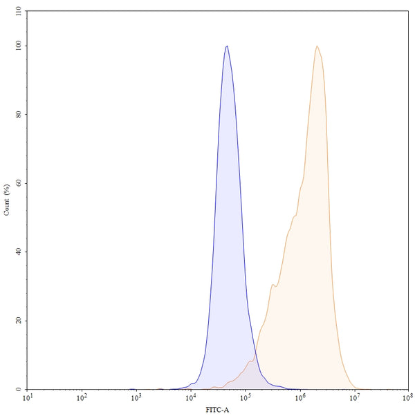 Anti-Human IL-17A/F Heterodimer Reference Antibody (Ixekizumab) – Figure 1 of 4