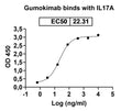 Anti-Human IL-17A/F Heterodimer Reference Antibody (Gumokimab) – Figure 1 of 2