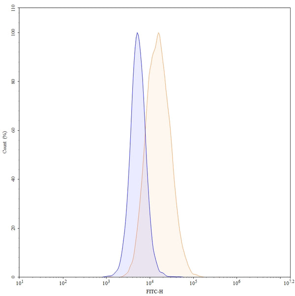 Flow-cytometry FITC using anti-human AMHR2 antibody. Untransfected cells (blue Histogram) and Transfected cells (Yellow Histogram) were stained with an FITC anti-human AMHR2 monoclonal antibody (Catalog HS882217) at a concentration of 5 µg/ml for 30 mins at RT. After washing, cells analysed on a NovoCyte Flow Cytometer.