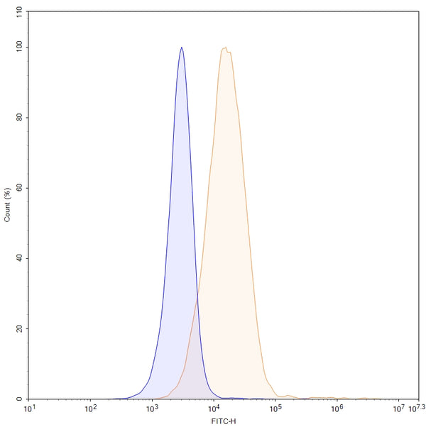 Anti-Human TrkB /NTRK2 Reference Antibody (ZEB85) – Figure 1 of 1