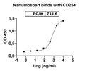 Anti-Human TRANCE/TNFSF11/RANK L Reference Antibody (Narlumosbart) – Figure 1 of 2