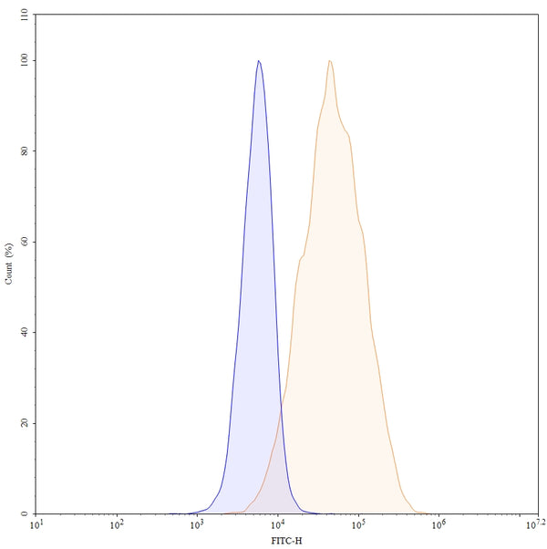 Flow-cytometry FITC using anti-human CD360 antibody. Untransfected cells (blue Histogram) and Transfected cells (Yellow Histogram) were stained with an FITC anti-human CD360 monoclonal antibody (Catalog HV076117) at a concentration of 5 µg/ml for 30 mins at RT. After washing, cells analysed on a NovoCyte Flow Cytometer.