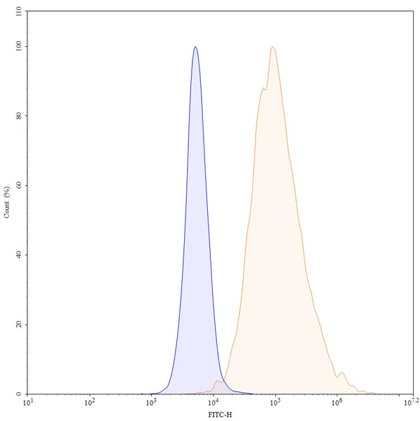SDS-PAGE for InVivoMAb Anti-Human ACE2 Antibody (3E8#).