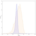 SDS-PAGE for InVivoMAb Anti-Human TSG101 Antibody (Iv0254)