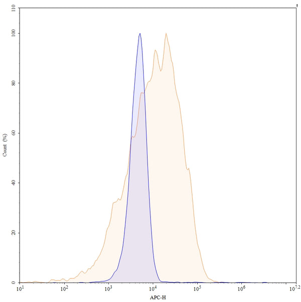 SDS-PAGE for InVivoMAb Anti-Human TSG101 Antibody (Iv0254)