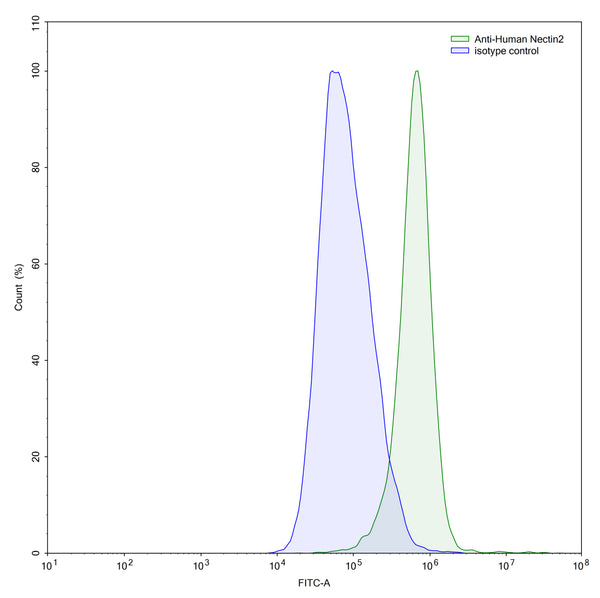 Detects CD112/Nectin-2/PVRL2 in indirect ELISAs.