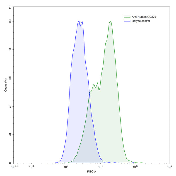Flow-cytometry using anti-human CD270 antibody.CD270 Transfected CHO cells were stained with an irrelevant antibody (Blue Histogram) or an anti-human CD270 antibody monoclonal antibody (Catalog # HV480107 ,Green Histogram) at a concentration of 5 µg/ml for 30 mins at RT. After washing, bound antibody was detected using a FITC conjugated goat anti-mouse antibody (Catalog # MF690414) and cells analysed on a NovoCyte Flow Cytometer.