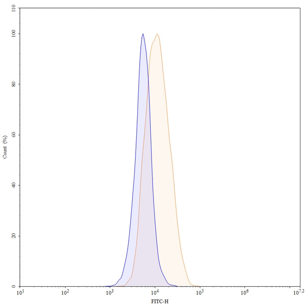 Flow-cytometry FITC using anti-human CD270 antibody. Untransfected cells (blue Histogram) and Transfected cells (Yellow Histogram) were stained with an FITC anti-human CD270 monoclonal antibody (Catalog HV480117) at a concentration of 5 µg/ml for 30 mins at RT. After washing, cells analysed on a NovoCyte Flow Cytometer.
