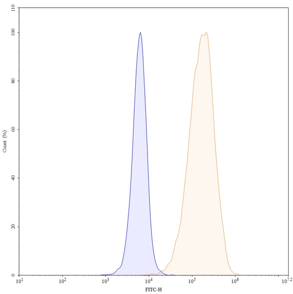 Anti-Human CD371/CLEC12A & CD3E Bispecific Reference Antibody (Tepoditamab) – Figure 1 of 5