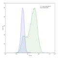 SEC-HPLC detection for Anti-Human MUC16/CA125 Antibody (ABS2026).