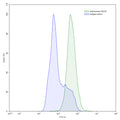 Flow-cytometry using anti-human FGF23 antibody.FGF23 Transfected CHO cells were stained with an irrelevant antibody (Blue Histogram) or an anti-human FGF23 antibody monoclonal antibody (Catalog # HV625107 ,Green Histogram) at a concentration of 5 µg/ml for 30 mins at RT. After washing, bound antibody was detected using a FITC conjugated goat anti-mouse antibody (Catalog # MF690414) and cells analysed on a NovoCyte Flow Cytometer.