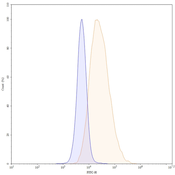 Flow-cytometry FITC using anti-human CD114 antibody. Untransfected cells (blue Histogram) and Transfected cells (Yellow Histogram) were stained with an FITC anti-human CD114 monoclonal antibody (Catalog HV643117) at a concentration of 5 µg/ml for 30 mins at RT. After washing, cells analysed on a NovoCyte Flow Cytometer.