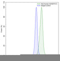 SDS-PAGE for Anti-Human ADAMTS13 Antibody (3H9).