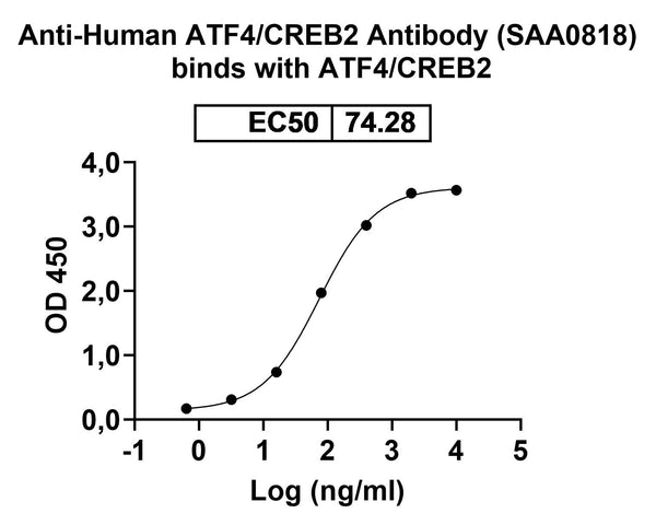 SDS-PAGE for Anti-LRRK2/Dardarin Antibody (N241A/34).