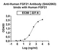 Detects Human FGF21 in indirect ELISAs.