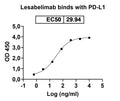Anti-Human PD-L1/B7-H1 Reference Antibody (Lesabelimab) – Figure 1 of 3