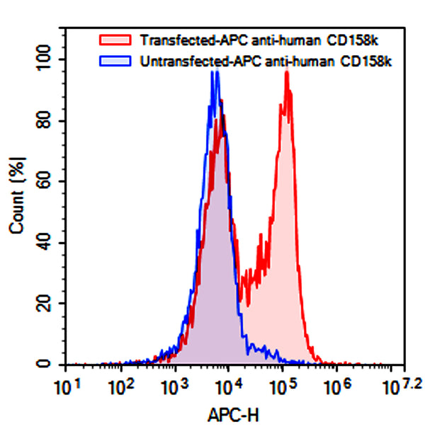 Flow-cytometry using APC anti-human  CD158k antibody. Untransfected (Blue Histogram) or Transfected 293T cells (Red Histogram)  were stained with an APC anti-human CD158k antibody monoclonal antibody (Catalog # HV997137) at a concentration of 5 µg/ml for 30 mins at RT. After washing, cells analysed on a NovoCyte Flow Cytometer.