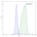 Detects MMP14 in indirect ELISAs.