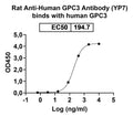 Detects recombinant human Glypican-3/GPC3 (Cat No.: HW310011) in indirect ELISA.