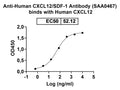 Detects Recombinant Human CXCL12/SDF-1 Protein (Cat No.: HW376012) in indirect ELISA.