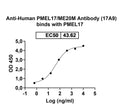 Western blot analysis was performed using anti-PMEL monoclonal antibody at 1ug/mL on various samples.
Lane 1: recombinant human PMEL  (Catalog No: HW380012)
Lane 2: negative control