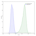 Flow-cytometry using anti-human CD146 antibody.HeLa cells were stained with an irrelevant antibody (Blue Histogram) or an anti-human CD146 antibody monoclonal antibody (Catalog # HW484107 ,Green Histogram) at a concentration of 5 µg/ml for 30 mins at RT. After washing, bound antibody was detected using a FITC conjugated goat anti-mouse antibody (Catalog # MF690414) and cells analysed on a NovoCyte Flow Cytometer.