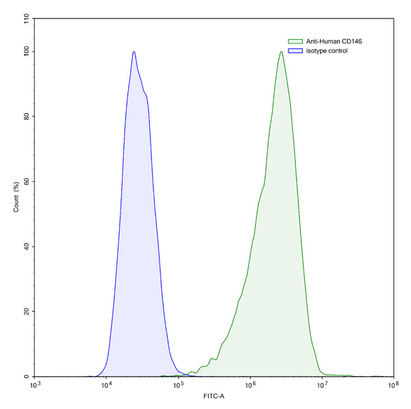 Flow-cytometry using anti-human CD146 antibody.HeLa cells were stained with an irrelevant antibody (Blue Histogram) or an anti-human CD146 antibody monoclonal antibody (Catalog # HW484107 ,Green Histogram) at a concentration of 5 µg/ml for 30 mins at RT. After washing, bound antibody was detected using a FITC conjugated goat anti-mouse antibody (Catalog # MF690414) and cells analysed on a NovoCyte Flow Cytometer.