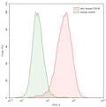 SEC-HPLC detection for Anti-Human CD146/MUC18/MCAM Antibody (ABS1541).