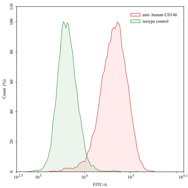 SEC-HPLC detection for Anti-Human CD146/MUC18/MCAM Antibody (ABS1541).