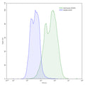 Flow-cytometry using anti-human VEGFB antibody.VEGFB Transfected CHO cells were stained with an irrelevant antibody (Blue Histogram) or an anti-human VEGFB antibody monoclonal antibody (Catalog # HW516107 ,Green Histogram) at a concentration of 5 µg/ml for 30 mins at RT. After washing, bound antibody was detected using a FITC conjugated goat anti-mouse antibody (Catalog # MF690414) and cells analysed on a NovoCyte Flow Cytometer.
