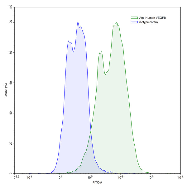 Flow-cytometry using anti-human VEGFB antibody.VEGFB Transfected CHO cells were stained with an irrelevant antibody (Blue Histogram) or an anti-human VEGFB antibody monoclonal antibody (Catalog # HW516107 ,Green Histogram) at a concentration of 5 µg/ml for 30 mins at RT. After washing, bound antibody was detected using a FITC conjugated goat anti-mouse antibody (Catalog # MF690414) and cells analysed on a NovoCyte Flow Cytometer.