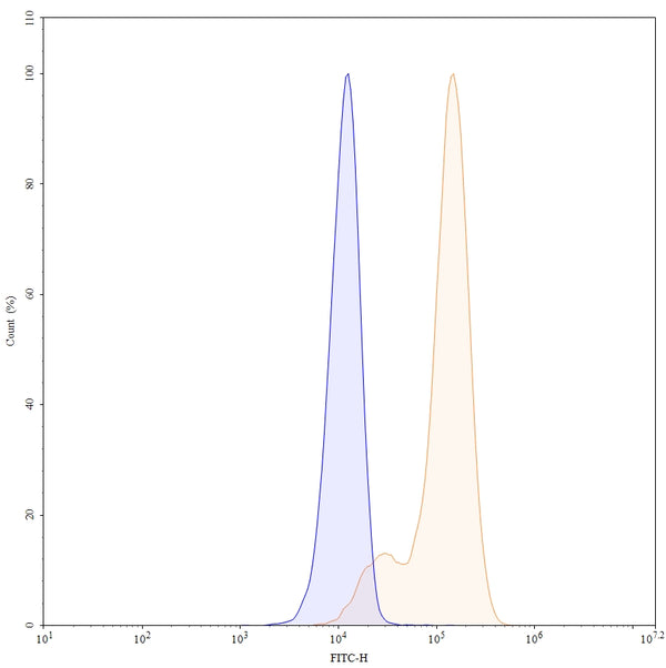 Flow-cytometry using FITC anti-human CD151 antibody. Hela cells were stained with an irrelevant antibody (Blue Histogram) or an FITC anti-human CD151 monoclonal antibody (Catalog: HW567117, Yellow Histogram) at a concentration of 5 µg/ml for 30 mins at RT. After washing, and cells analysed on a NovoCyte Flow Cytometer.