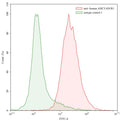 Flow-cytometry using anti-human ADCYAD1R1 antibody. Human SH-SY5Y cell line were stained with an irrelevant antibody (Green Histogram) or an anti-human ADCYAD1R1 antibody monoclonal antibody (Catalog # HW609107 , Red Histogram) at a concentration of 20 µg/ml for 30 mins at RT. After washing, bound antibody was detected using a FITC conjugated goat anti-human antibody (Catalog # HF690414) and cells analysed on a NovoCyte Flow Cytometer.